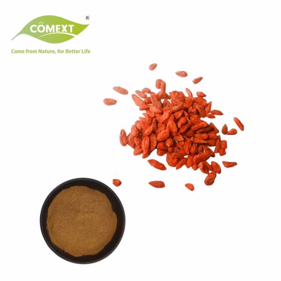 Natural Plant Extract Goji Extract