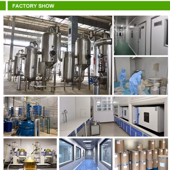 Natural Plant Extract Goji Extract