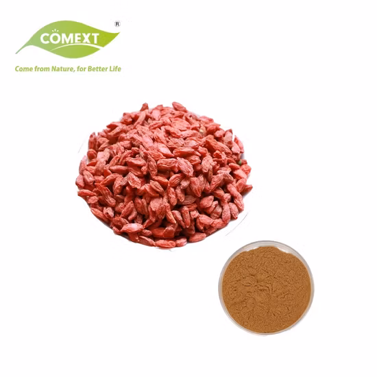 Natural Plant Extract Goji Extract