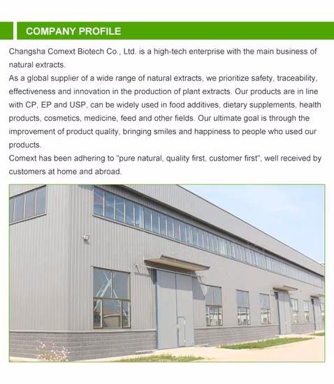 Natural Plant Extract Goji Extract