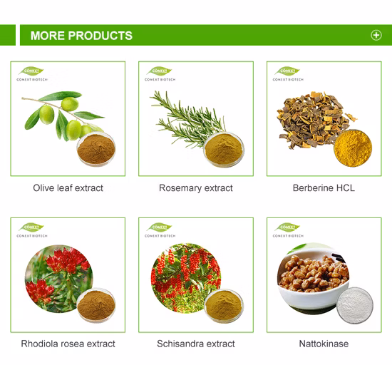 Extrait naturel de plante Extrait de Goji